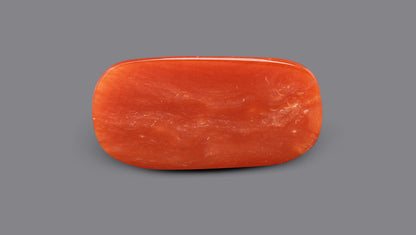 Italian Red Coral 7.36 Carats / 8.09 Ratti