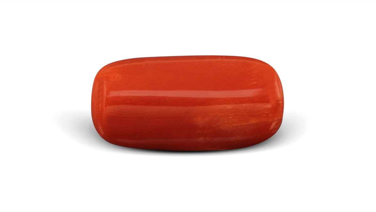 Italian Red Coral 7.36 Carats / 8.09 Ratti