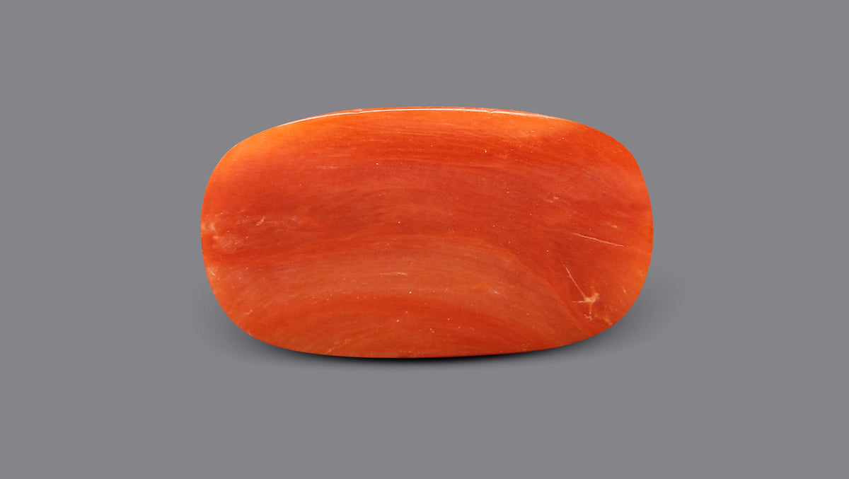 Italian Red Coral 7.49 Carats / 8.23 Ratti