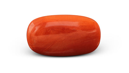 Italian Red Coral 7.49 Carats / 8.23 Ratti