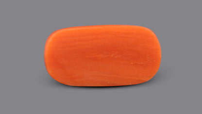 Italian Red Coral 7.63 Carats / 8.38 Ratti