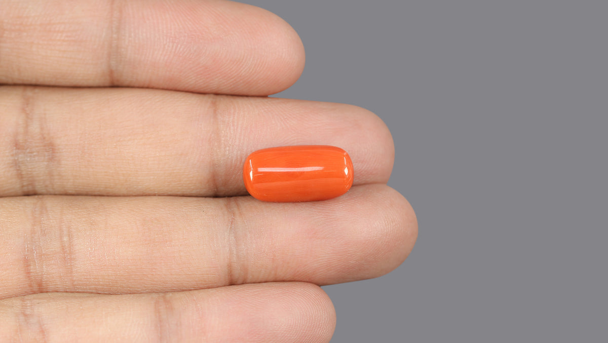 Italian Red Coral 7.63 Carats / 8.38 Ratti