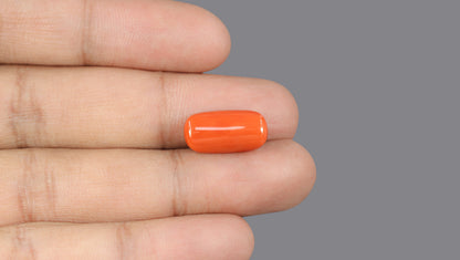 Italian Red Coral 7.63 Carats / 8.38 Ratti