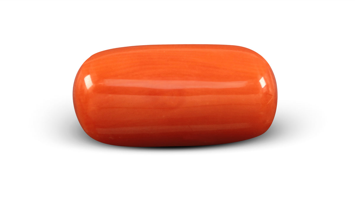 Italian Red Coral 7.63 Carats / 8.38 Ratti
