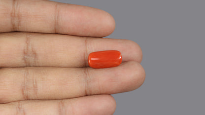 Italian Red Coral 7.74 Carats / 8.51 Ratti