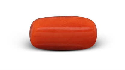 Italian Red Coral 7.74 Carats / 8.51 Ratti