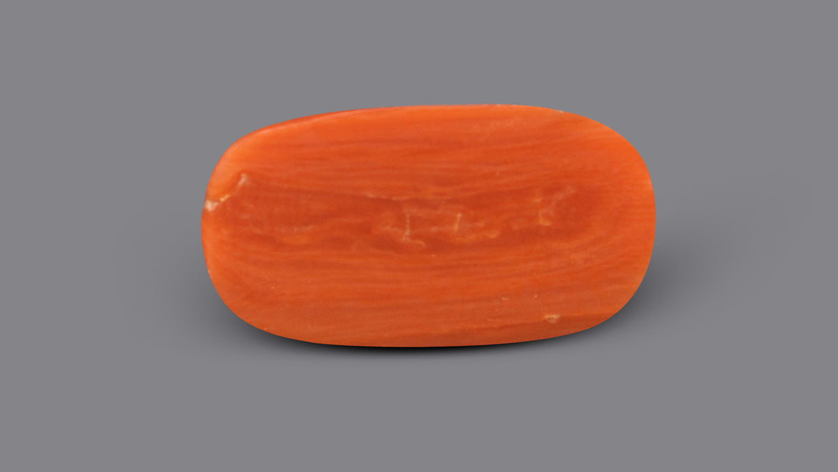 Italian Red Coral 8.07 Carats / 8.87 Ratti
