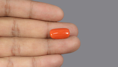 Italian Red Coral 8.07 Carats / 8.87 Ratti