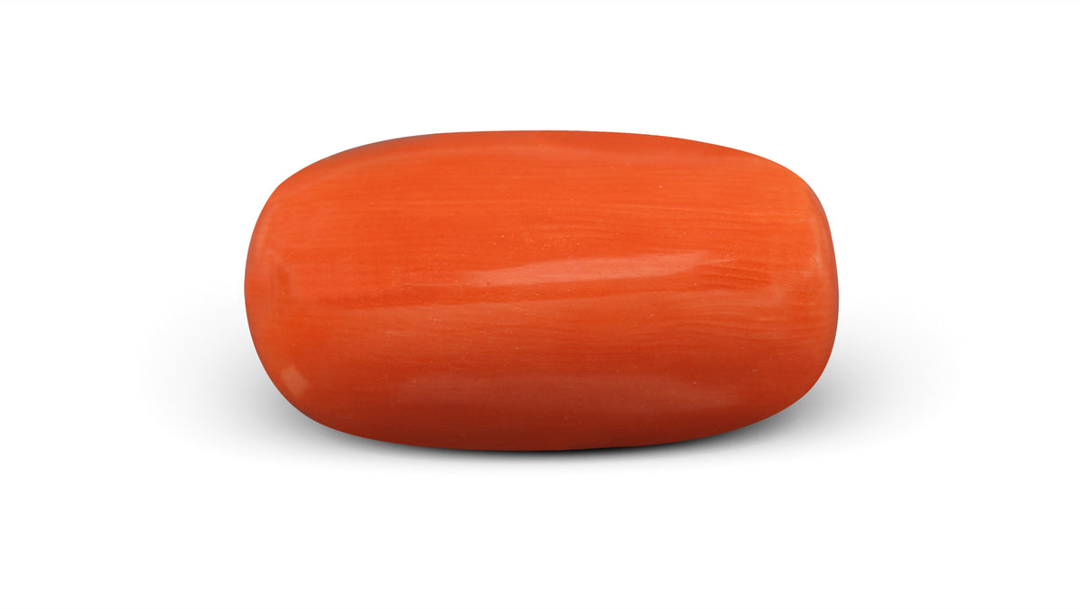 Italian Red Coral 8.07 Carats / 8.87 Ratti