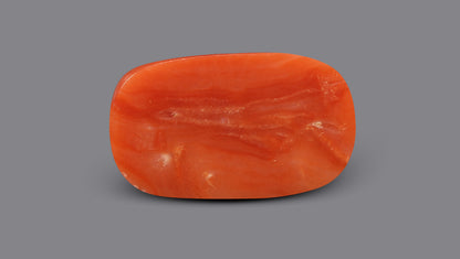 Italian Red Coral 8.27 Carats / 9.09 Ratti