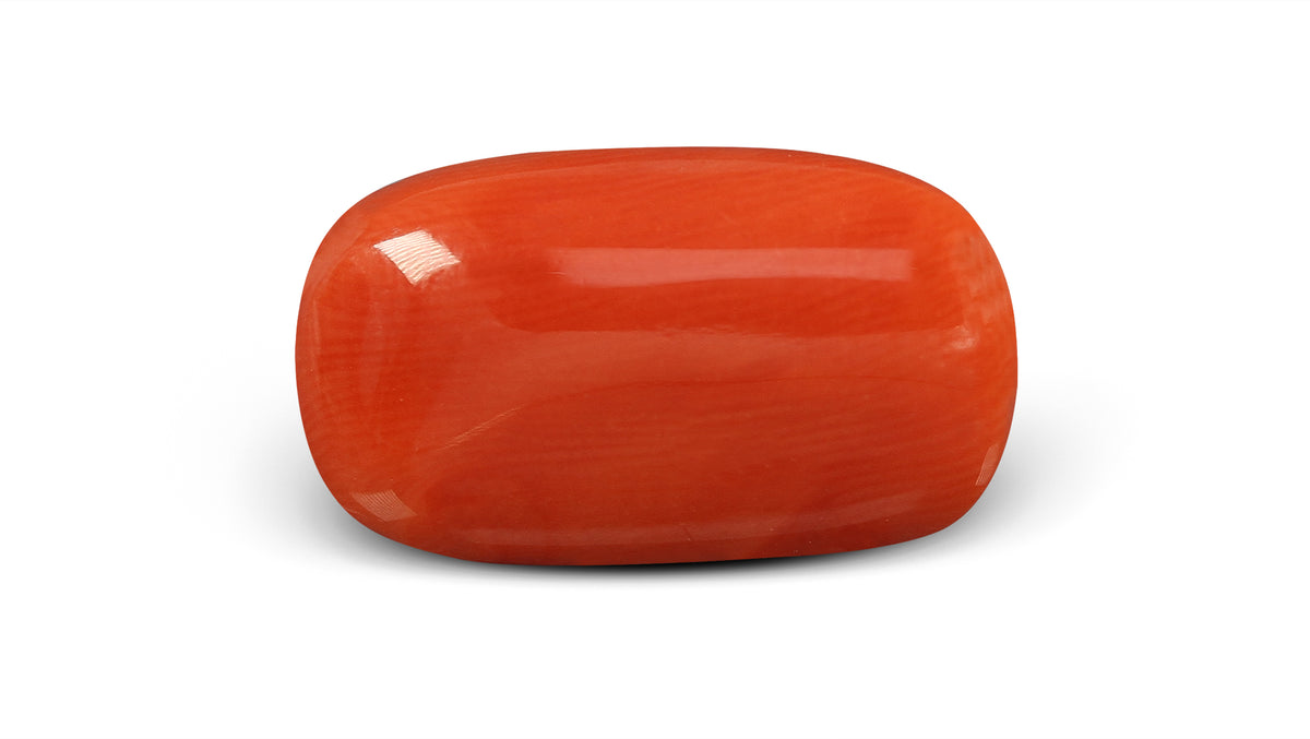Italian Red Coral 8.27 Carats / 9.09 Ratti