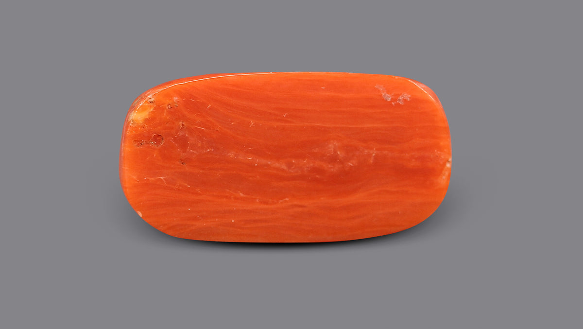 Italian Red Coral (Moonga) 9.31 Carats / 10.23 Ratti