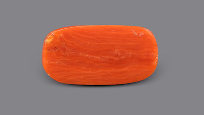Italian Red Coral (Moonga) 9.31 Carats / 10.23 Ratti