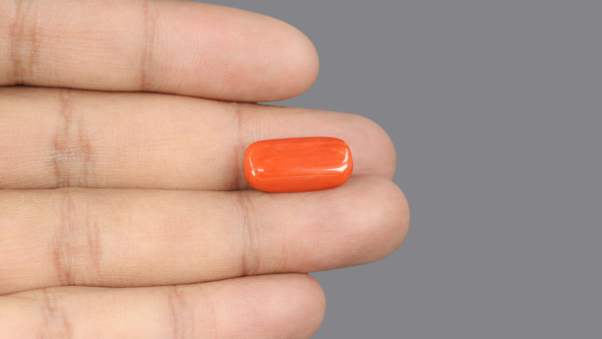 Italian Red Coral (Moonga) 9.31 Carats / 10.23 Ratti