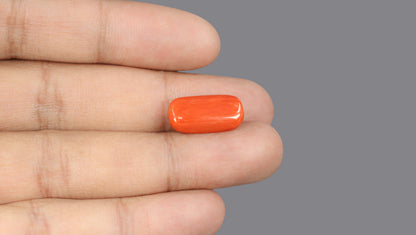 Italian Red Coral (Moonga) 9.31 Carats / 10.23 Ratti