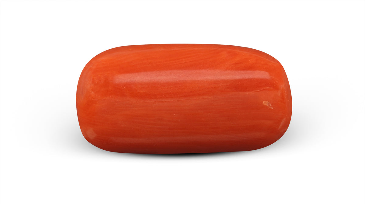 Italian Red Coral (Moonga) 9.31 Carats / 10.23 Ratti