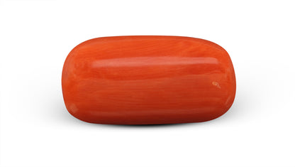 Italian Red Coral (Moonga) 9.31 Carats / 10.23 Ratti