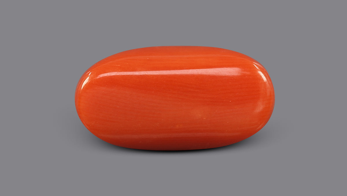 Italian Red Coral 9.45 Carats / 10.38 Ratti