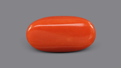 Italian Red Coral 9.45 Carats / 10.38 Ratti