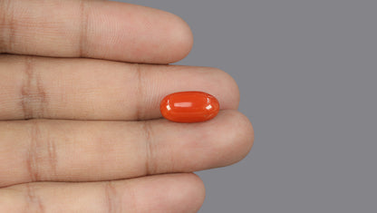 Italian Red Coral 9.45 Carats / 10.38 Ratti