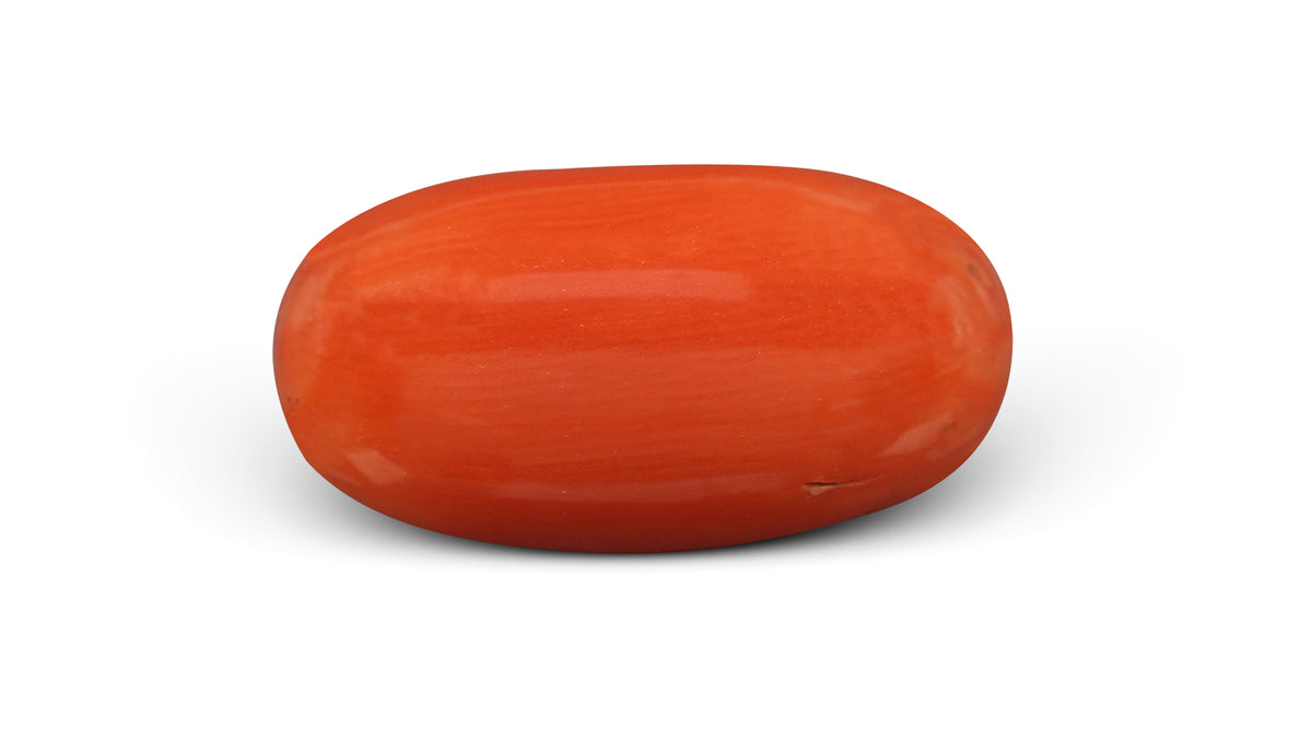 Italian Red Coral 9.45 Carats / 10.38 Ratti
