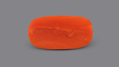 Italian Red Coral 6.02 Carats / 6.62 Ratti