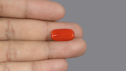 Italian Red Coral 6.02 Carats / 6.62 Ratti