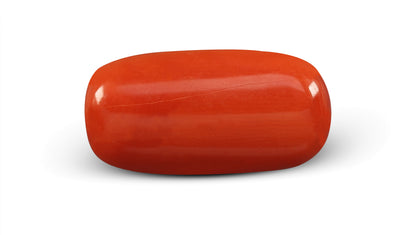 Italian Red Coral 6.02 Carats / 6.62 Ratti