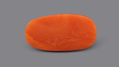 Italian Red Coral 6.04 Carats / 6.64 Ratti