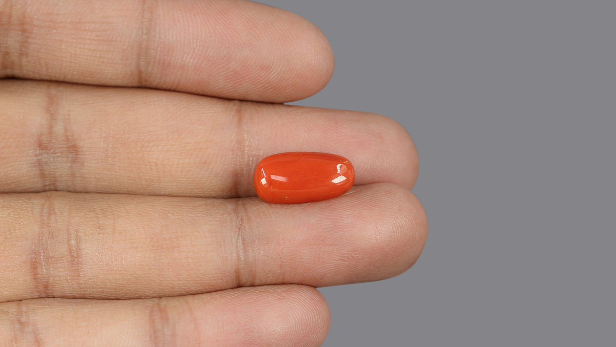 Italian Red Coral 6.04 Carats / 6.64 Ratti