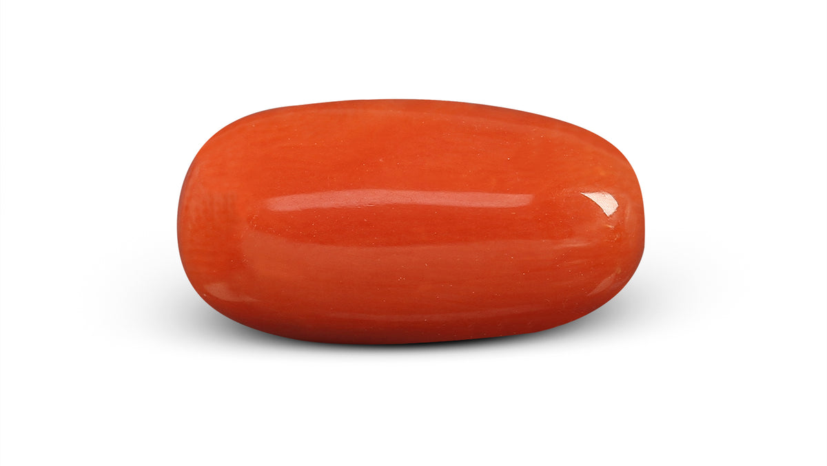 Italian Red Coral 6.04 Carats / 6.64 Ratti