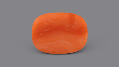 Italian Red Coral 6.15 Carats / 6.76 Ratti
