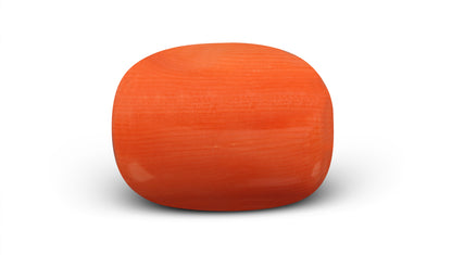 Italian Red Coral 6.15 Carats / 6.76 Ratti