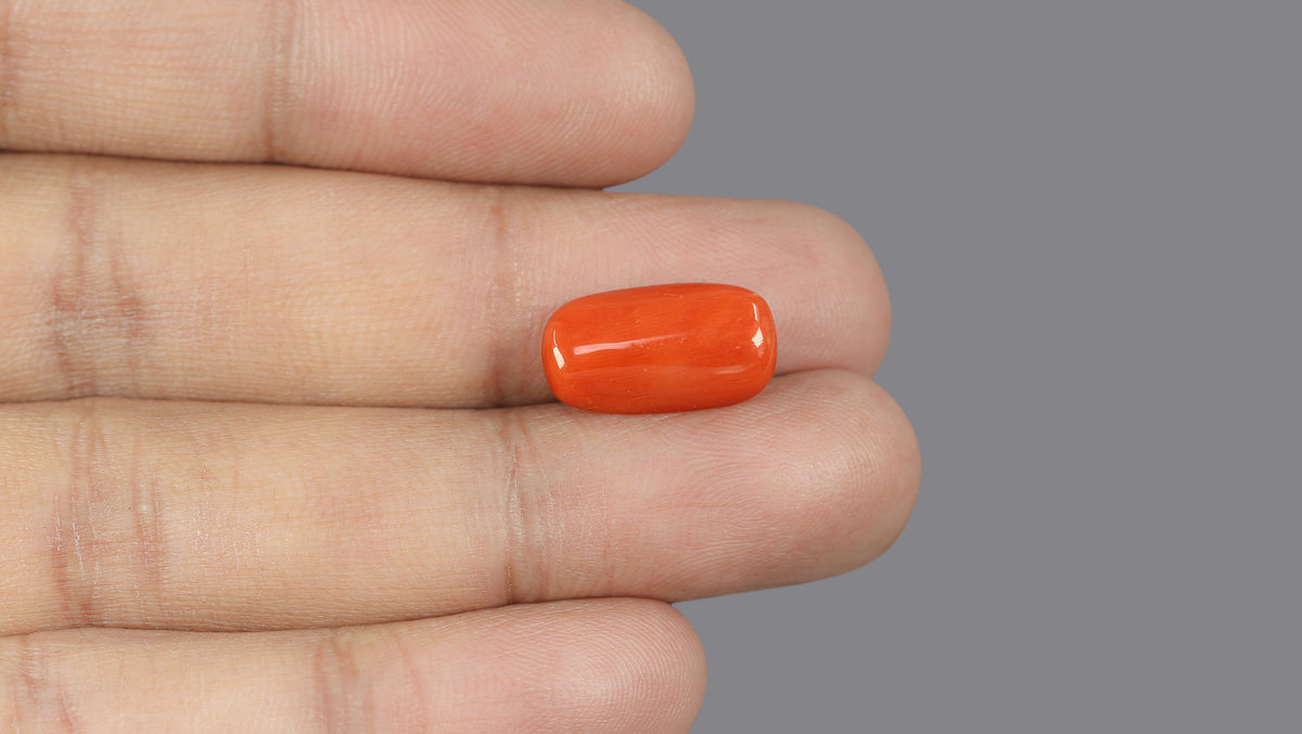 Italian Red Coral 6.15 Carats / 6.76 Ratti