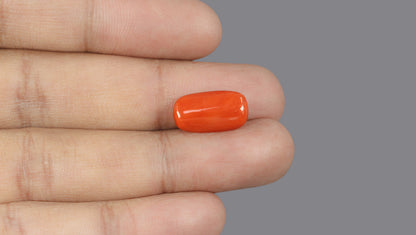 Italian Red Coral 6.15 Carats / 6.76 Ratti