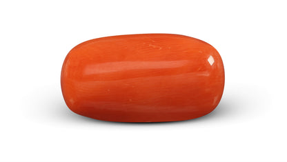 Italian Red Coral 6.15 Carats / 6.76 Ratti