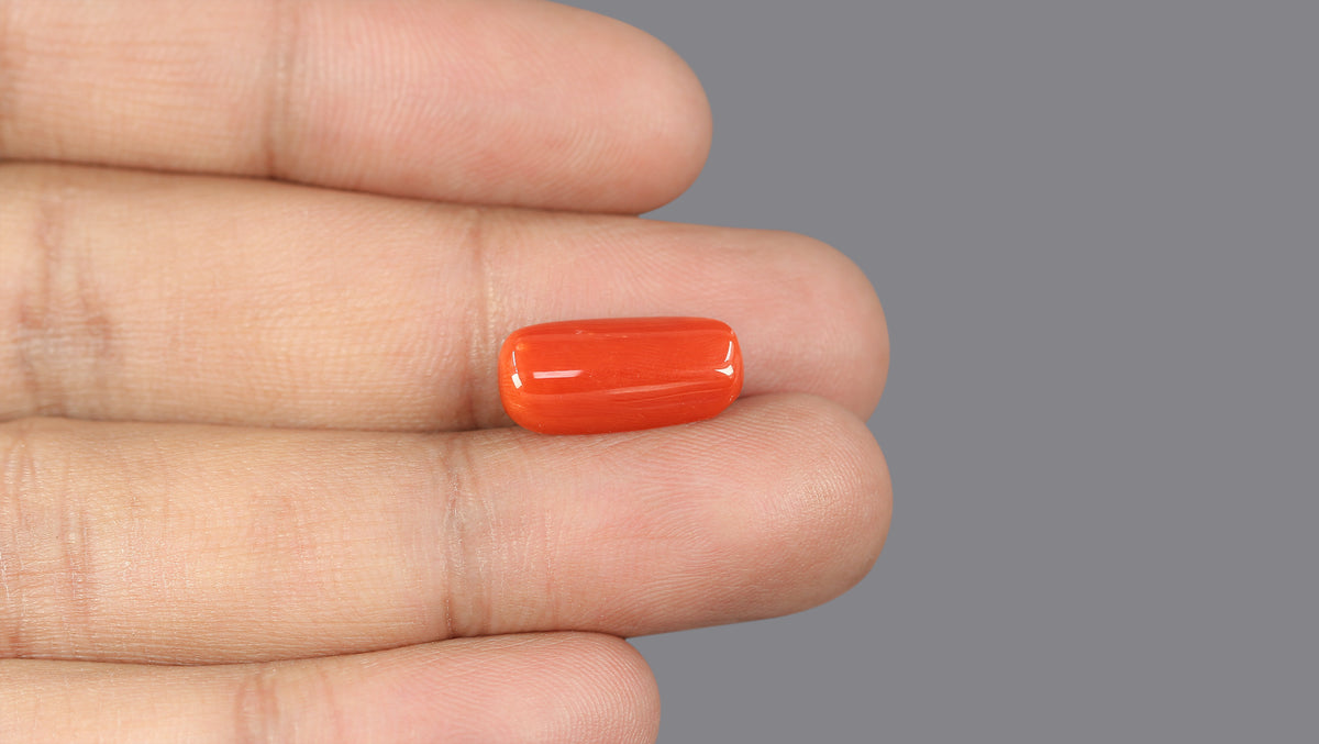Italian Red Coral 6.18 Carats / 6.79 Ratti