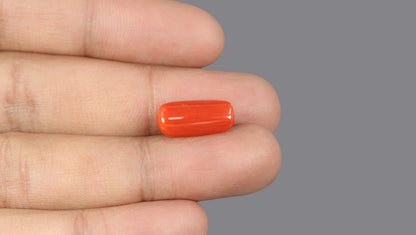 Italian Red Coral 6.18 Carats / 6.79 Ratti