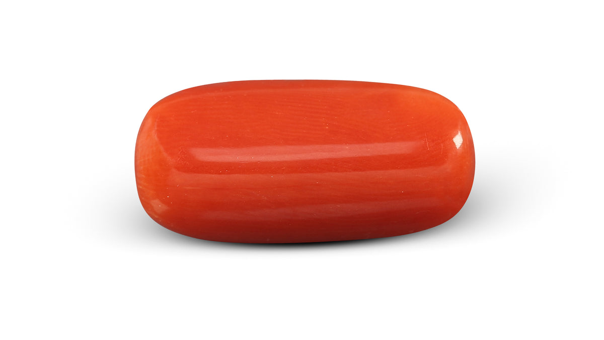 Italian Red Coral 6.18 Carats / 6.79 Ratti