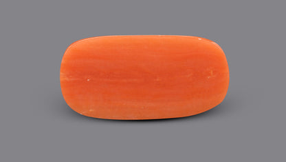 Italian Red Coral 6.18 Carats / 6.79 Ratti