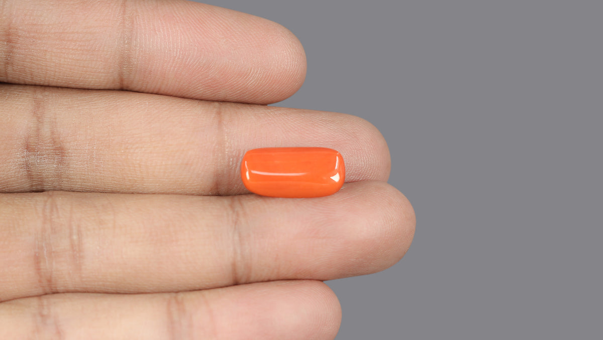Italian Red Coral 6.18 Carats / 6.79 Ratti