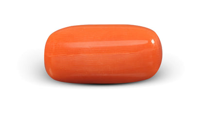 Italian Red Coral 6.18 Carats / 6.79 Ratti