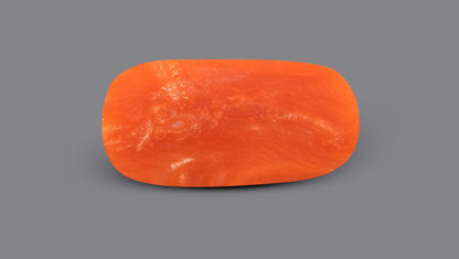 Italian Red Coral 6.46 Carats / 7.1 Ratti