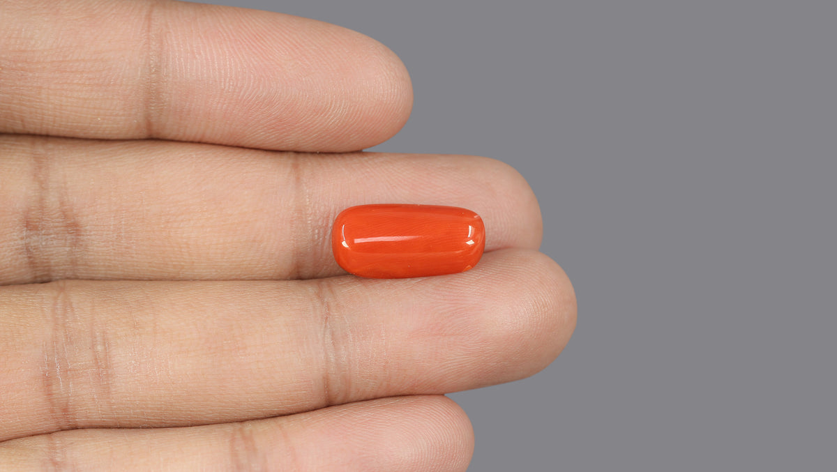 Italian Red Coral 6.46 Carats / 7.1 Ratti