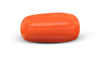 Italian Red Coral 6.46 Carats / 7.1 Ratti
