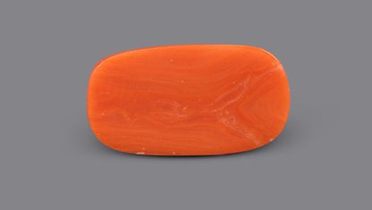 Italian Red Coral 6.48 Carats / 7.12 Ratti