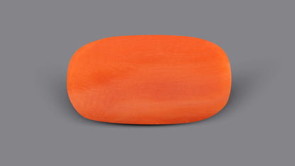Italian Red Coral 4.42 Carats / 4.86 Ratti