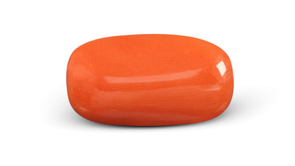 Italian Red Coral 4.42 Carats / 4.86 Ratti