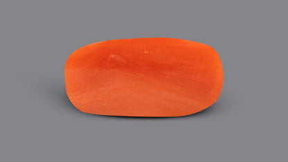 Italian Red Coral 5.03 Carats / 5.53 Ratti