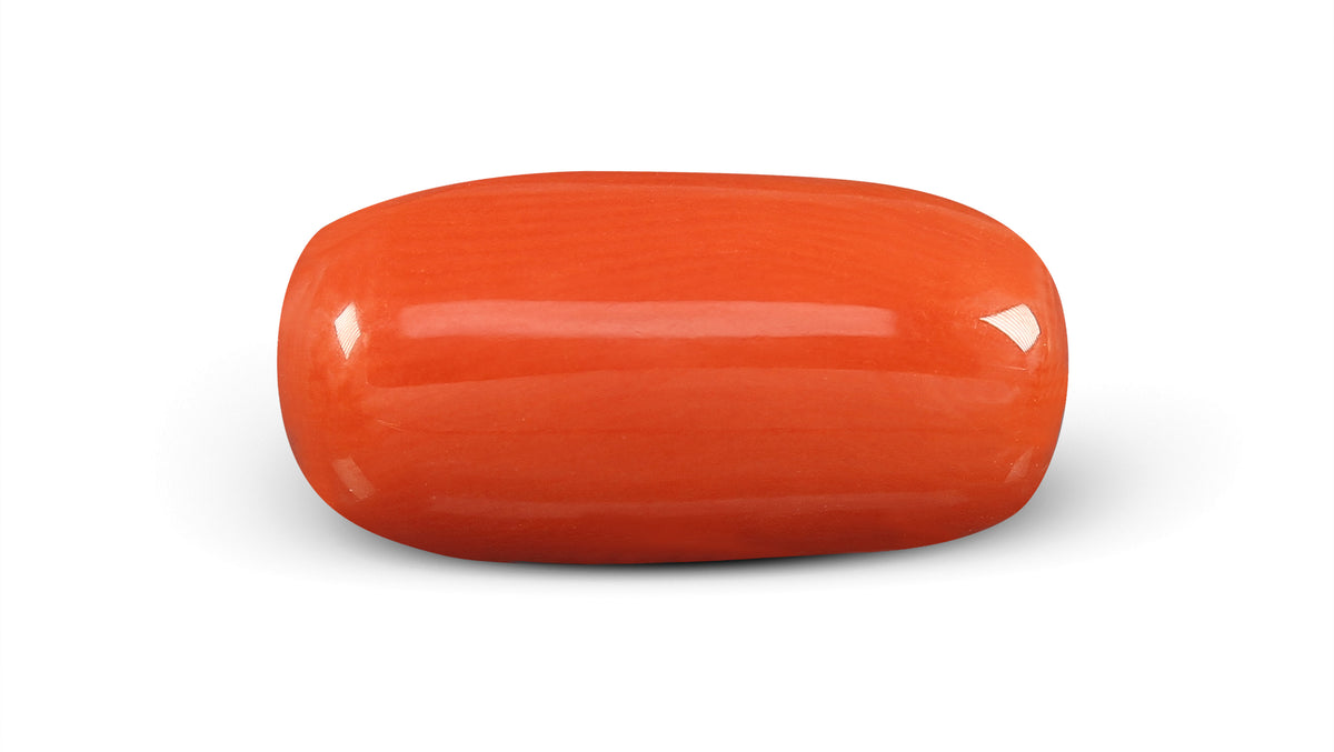 Italian Red Coral 5.03 Carats / 5.53 Ratti